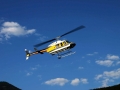 Bell 206L